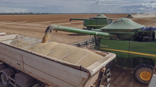 pexels photo 31678059 31678059 Combine harvesters loading soybeans into a truck in Paragominas, Brazil.
